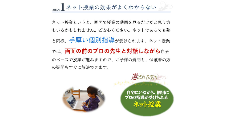 自宅にいながら、個別にプロの指導が受けられるネット授業